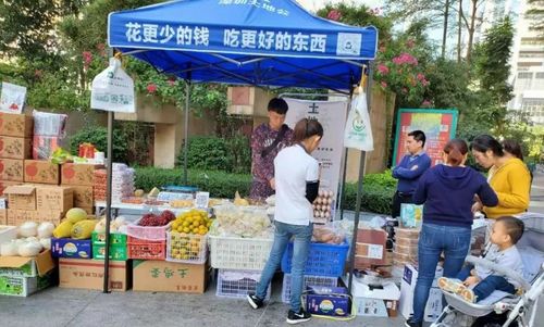 社區團購轉向理性競爭，日用百貨銷售迎高質量發展新機遇